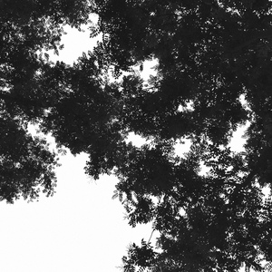 胡桃扒下她的内裤让人摸她
